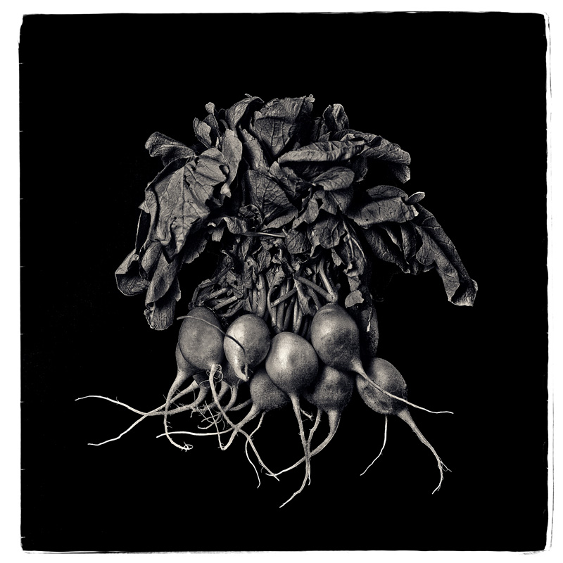 2016-FOTOSEPTIEMBRE-USA_Calendar_Scott-Mueller_Nick-Bottom-Dark-Gloomy-Root-Vegetables-Exhibition_Gallery-20:20